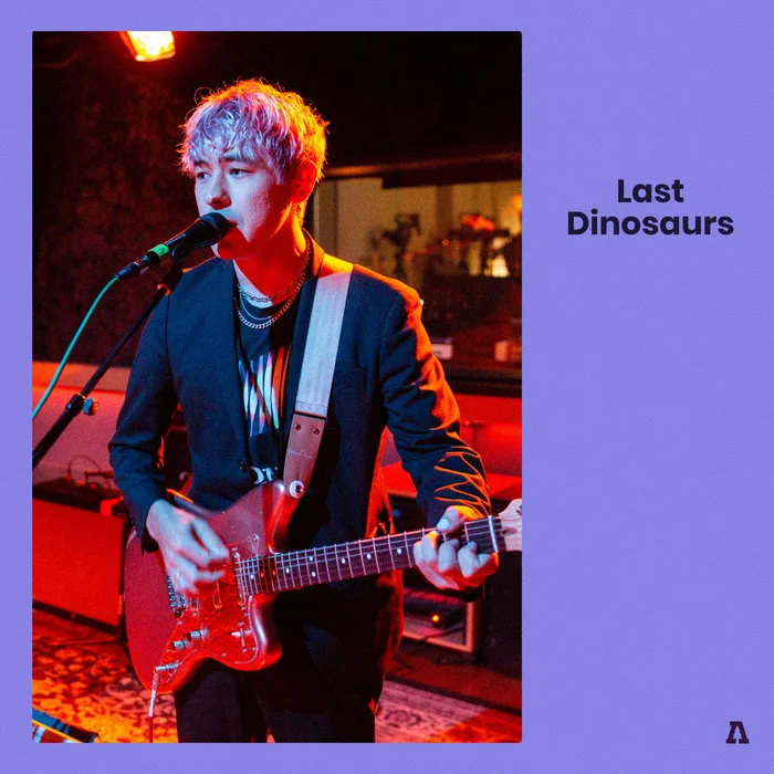 Last Dinosaurs